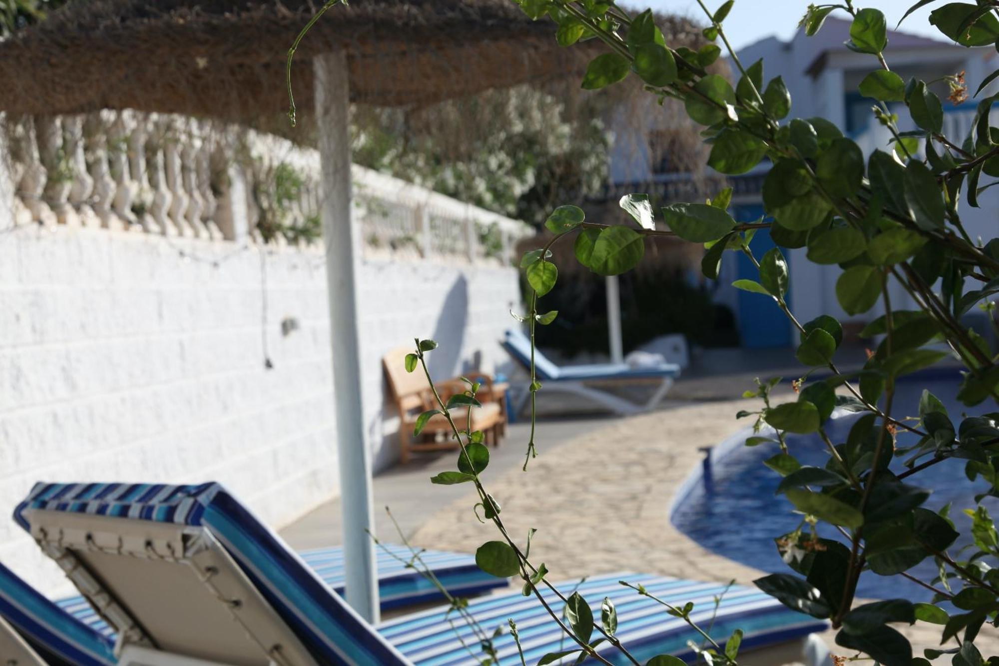The Dragonfly Retreat Apartment