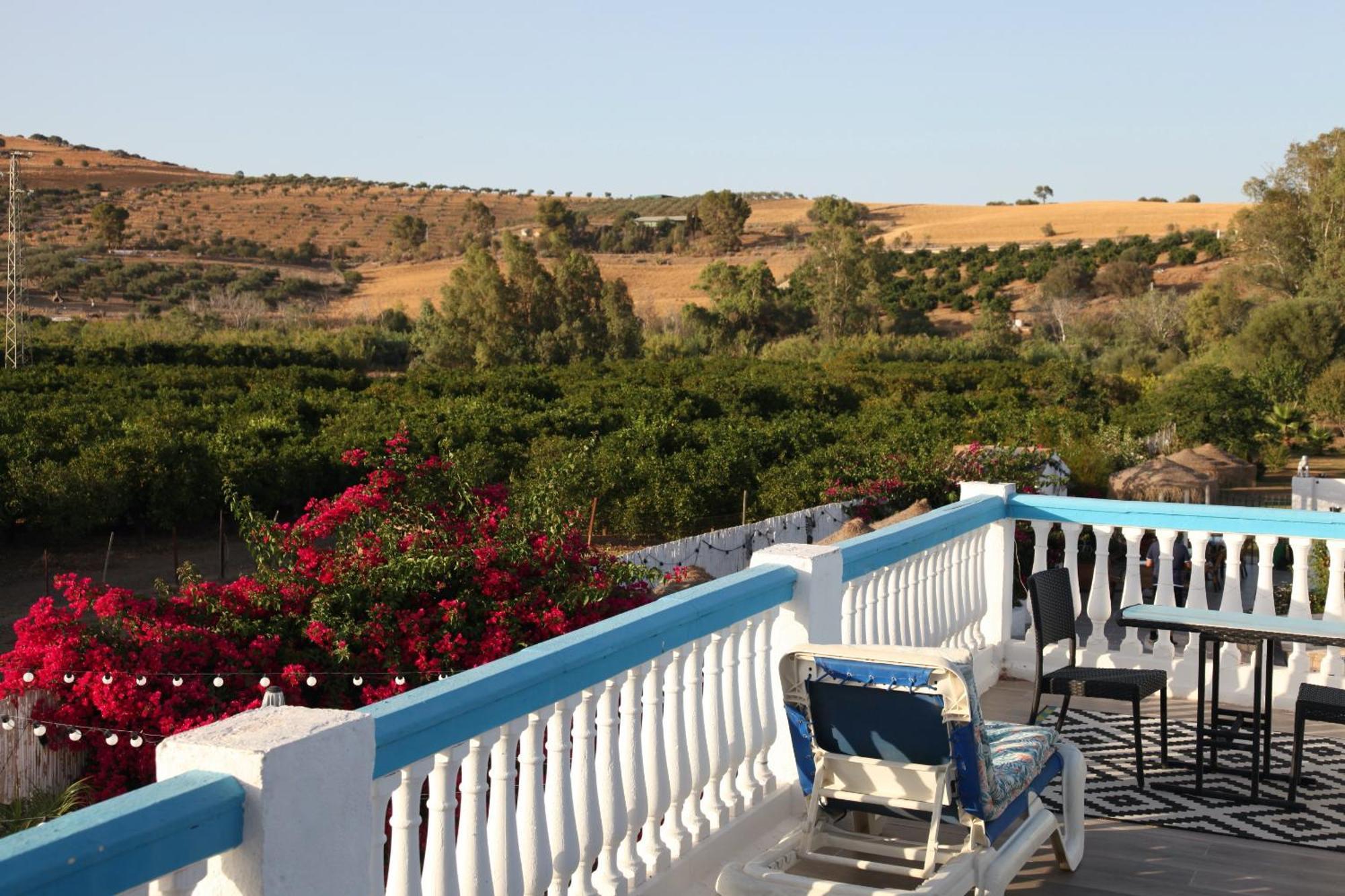 The Dragonfly Retreat Apartment Málaga