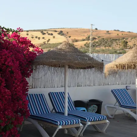 Apartament The Dragonfly Retreat Malaga Zewnętrze zdjęcie