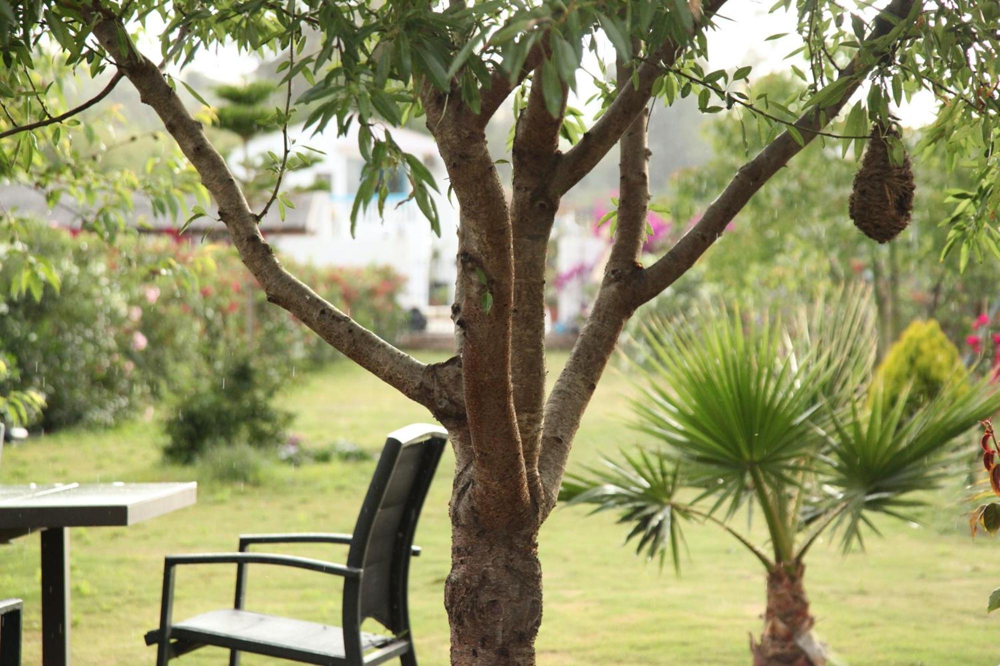 Apartament The Dragonfly Retreat Malaga
