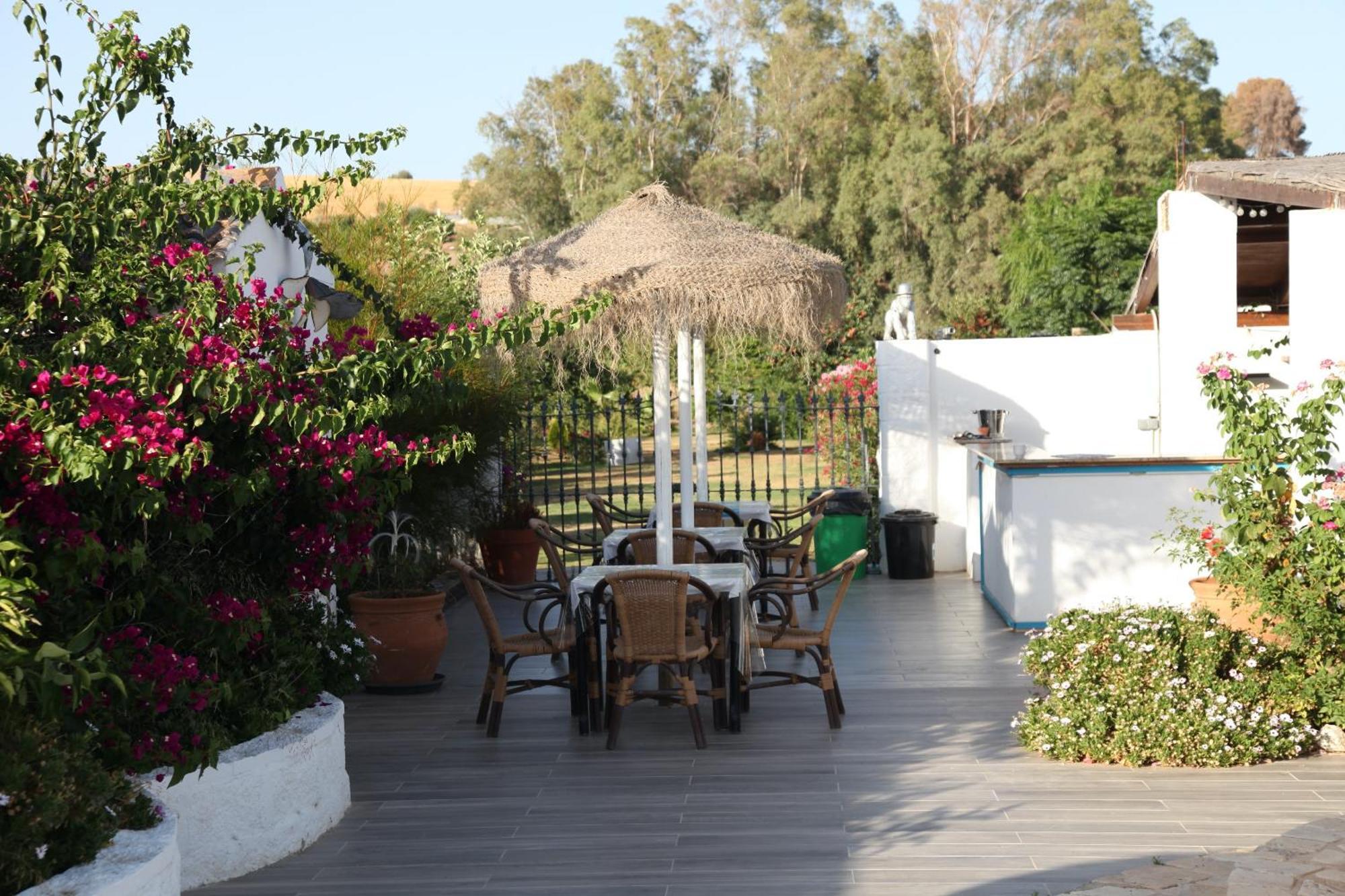 The Dragonfly Retreat Apartment Malaga